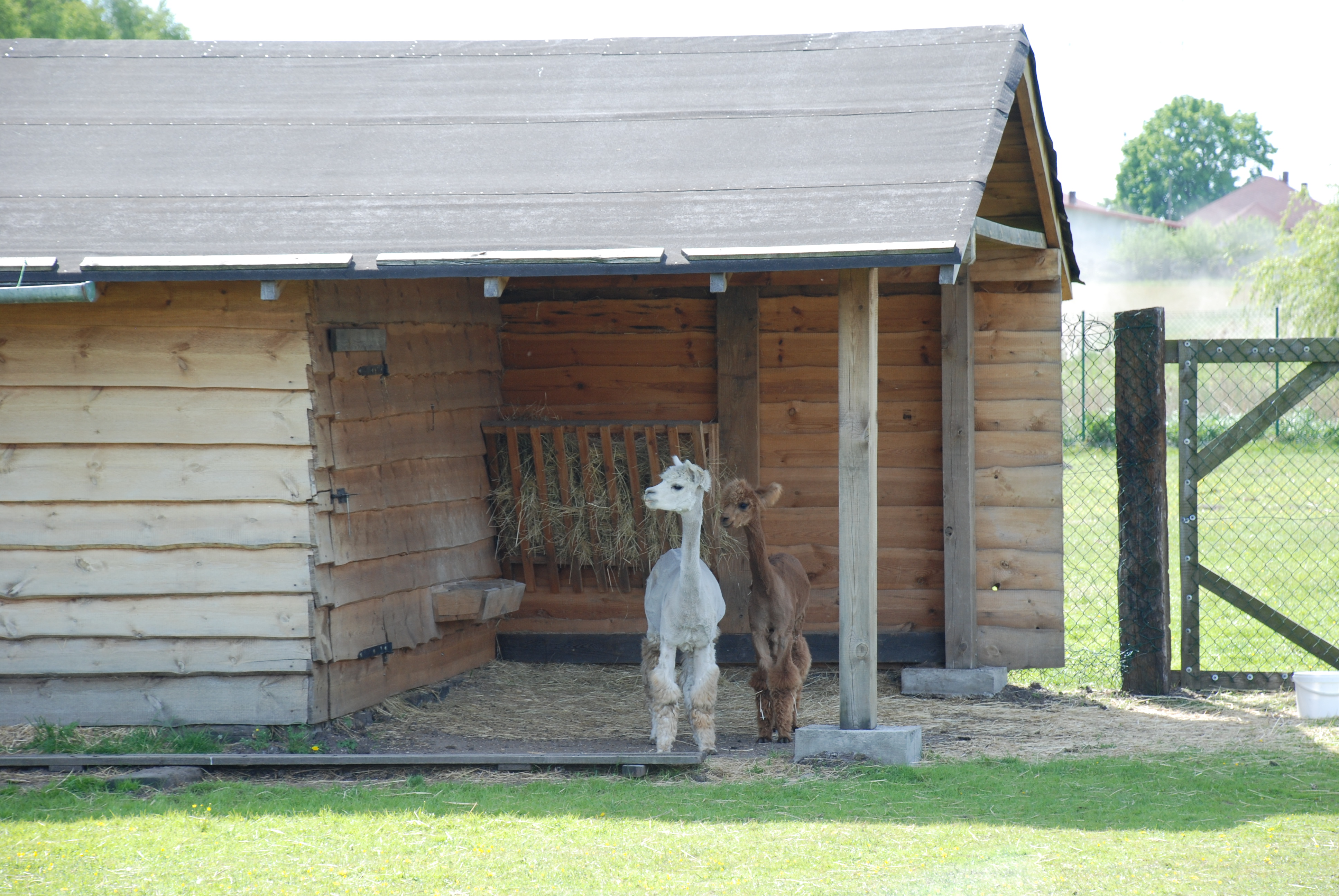 DSC_2095.JPG (2.34 MB)